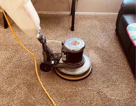 Efficient Carpet Cleaning in Googong